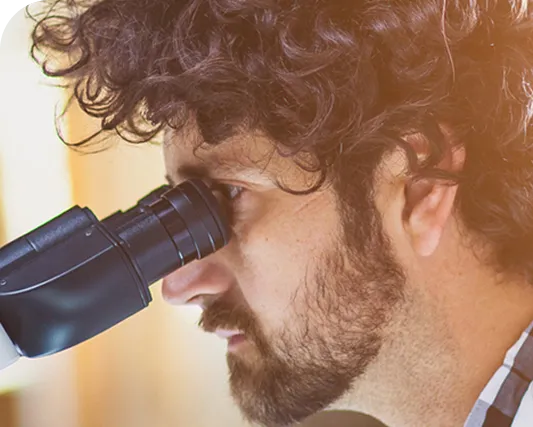 The Flexibility and Agility of Phosphate Esters